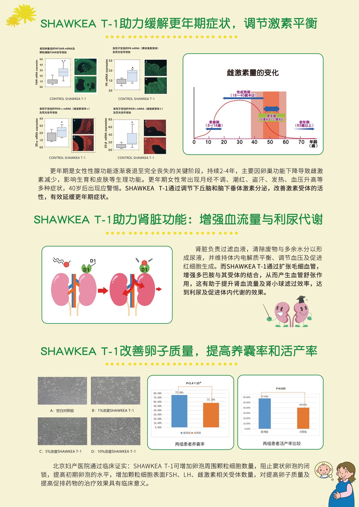 SHAWKEA T-1 | Dandelion Leaf Supplement (蒲公英T1)