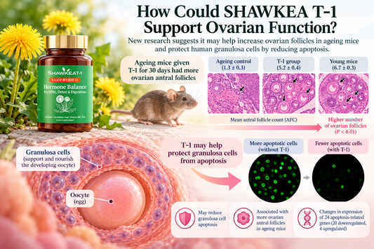 SHAWKEA T-1 & Ovarian Function: What Does the Research Show?