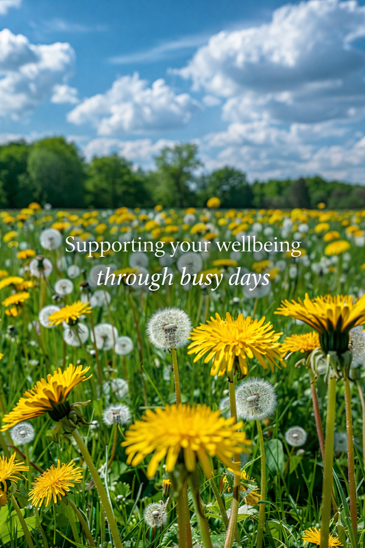 Dandelion Leaves as a Potential Resource for Developing New Antibacterial Agents