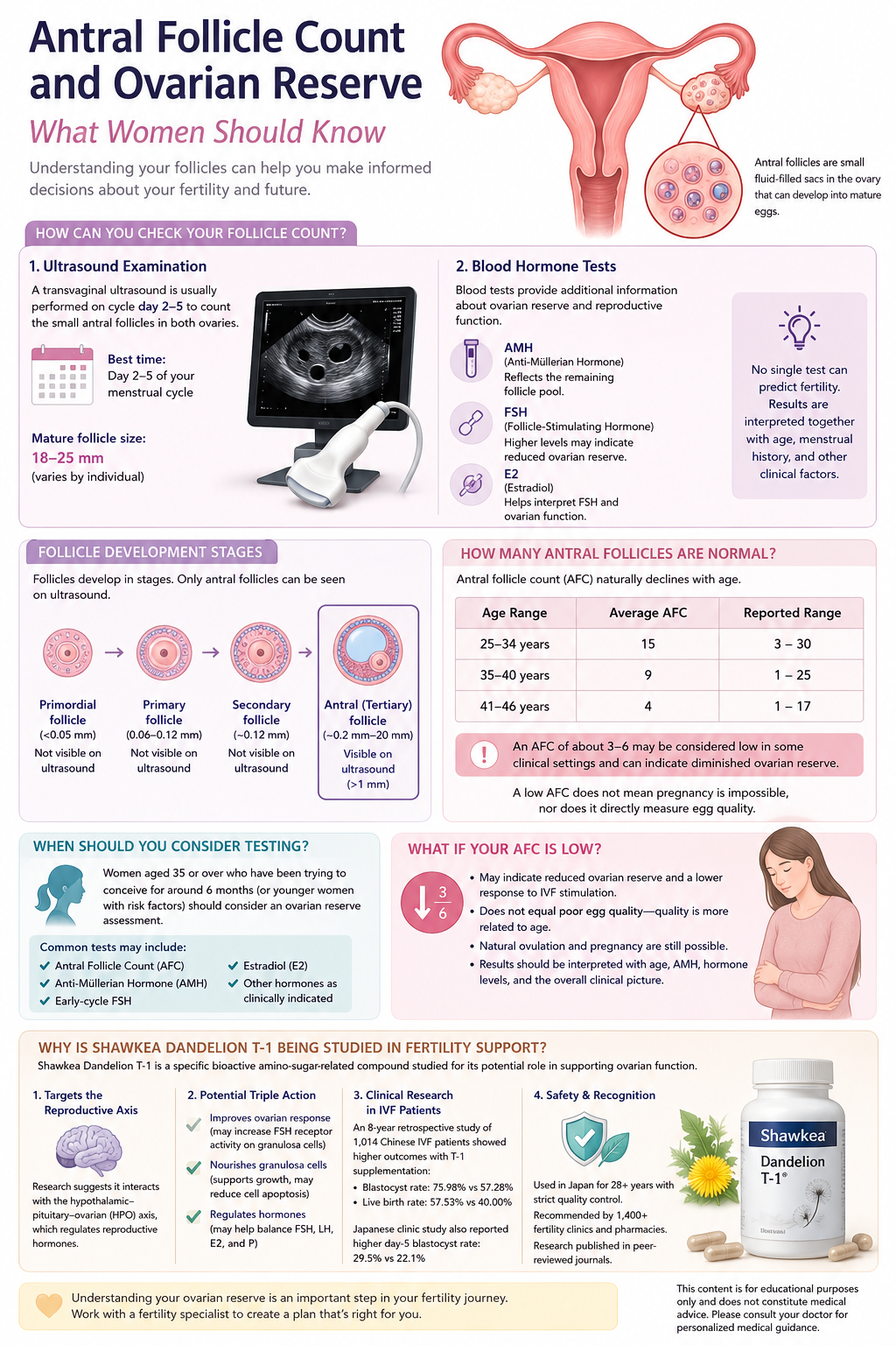 Antral Follicle Count and Ovarian Reserve: What Women Should Know