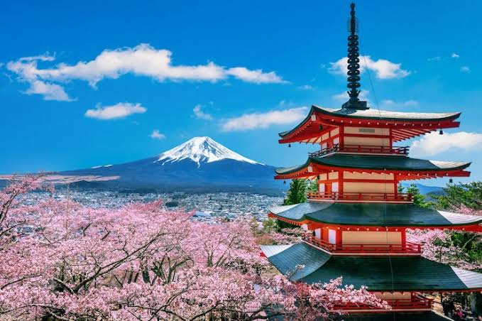 The Japanese Approach to Ovarian Health and Longevity