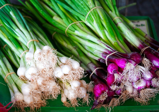 Winter Health and the Power of Spring Onions