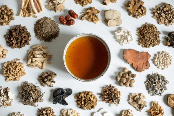 Considering the Causes of Implantation Failure from the Perspective of Traditional Oriental Medicine