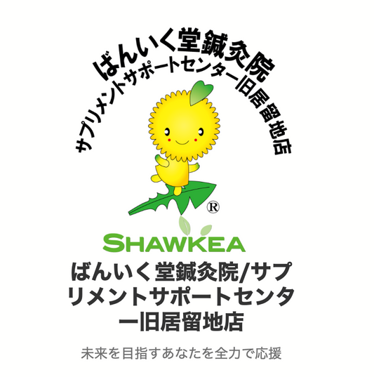 Japanese Wellness Centre