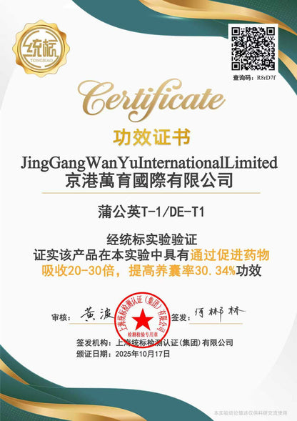 Shawkea dandelion leaf T-1（ショウキT-1・蒲公英T-1)