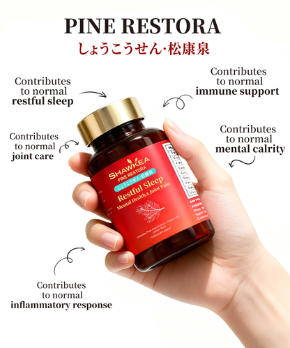 Pine Restora(しょうこうせん・松康泉）