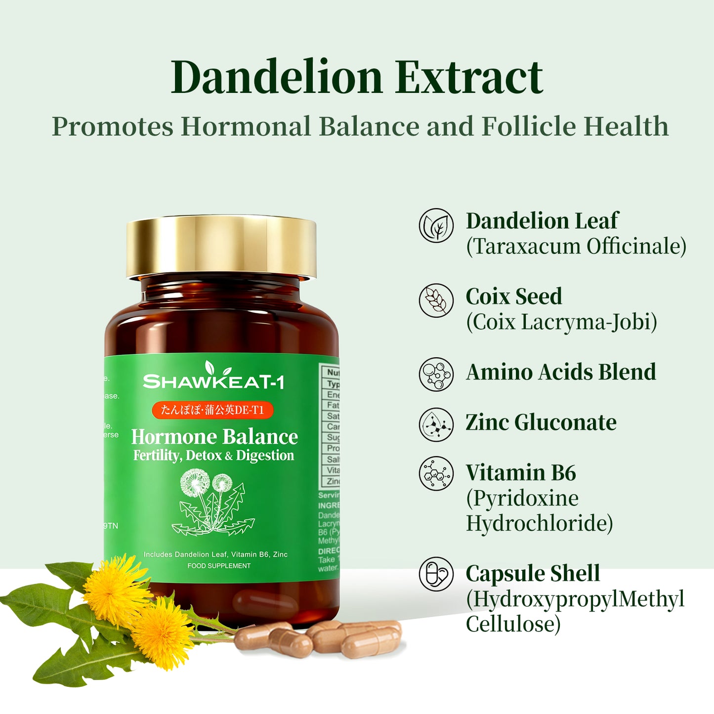 Shawkea dandelion leaf T-1（ショウキT-1・蒲公英T-1)